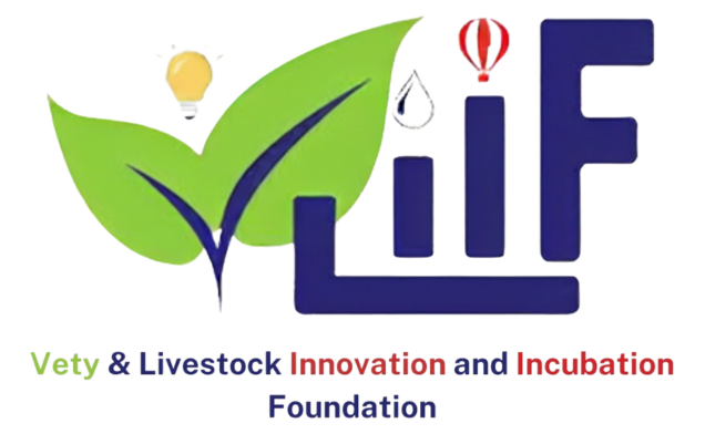 VLIIF Logo